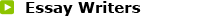 Professional Essay Writers
